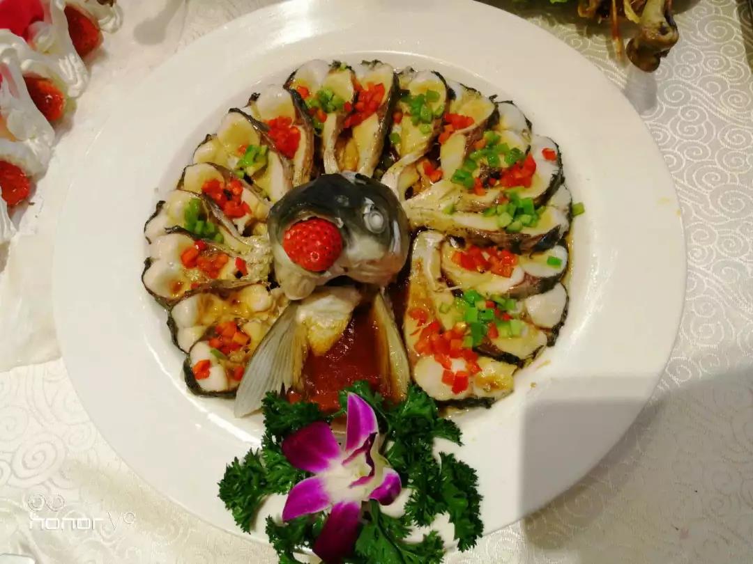 孔雀開屏魚 孔雀開屏魚